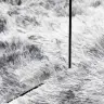 Kõrge Narmaga Shaggy Vaip, Navarra, Hõbehall, 200X200 Cm Kõrge Narmaga Shaggy Vaip, Navarra, Hõbehall, 200X200 Cm