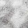 Kõrge Narmaga Shaggy Vaip, Navarra, Hõbehall, 300X200 Cm Kõrge Narmaga Shaggy Vaip, Navarra, Hõbehall, 300X200 Cm