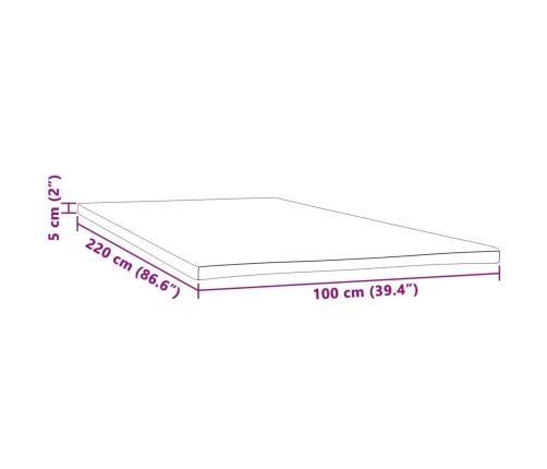 Virsmatracis, 100X220X5 Cm Vidaxl