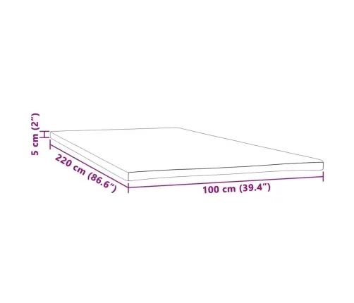 Virsmatracis, 100X220X5 Cm Vidaxl
