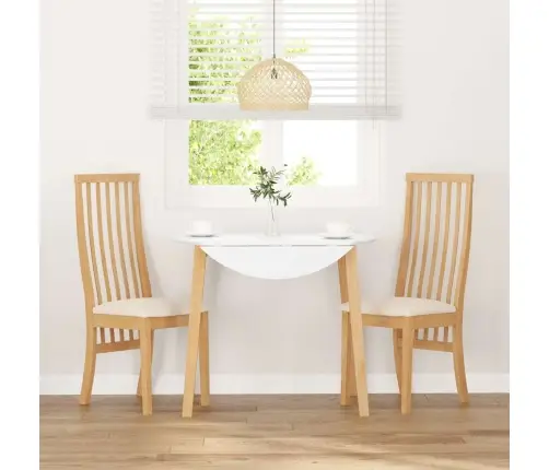 Söögitoolid Patjadega, 2 Tk, Kautšukipuit