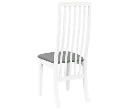 Söögitoolid Patjadega, 2 Tk, Valge, Kautšukipuit