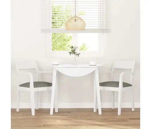 Valgomojo Kėdės Su Pagalvėlėmis 2 Vnt Balta Medžio Masyvo Guma