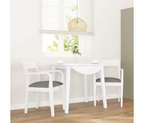 Valgomojo Kėdės Su Pagalvėlėmis 2 Vnt Balta Medžio Masyvo Guma