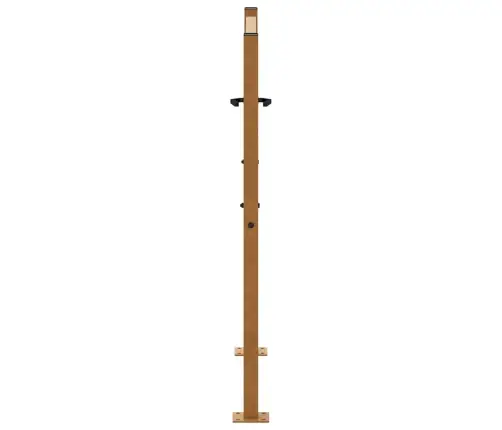 Aiavärav 100 X 100 Cm Ilmastikukindlast Terasest, Mustriline