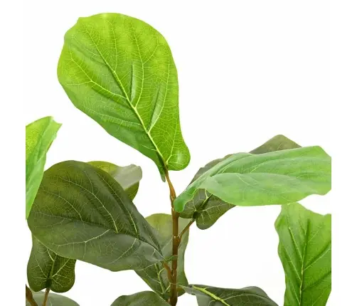 Dirbtinis Fikusas, Žalios Spalvos, 165cm 48 Lapai