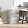 Skapji 2 Atvilktnēm 2Gab Pelēks 60X31X40 Cm Inženierijas Koks Vidaxl