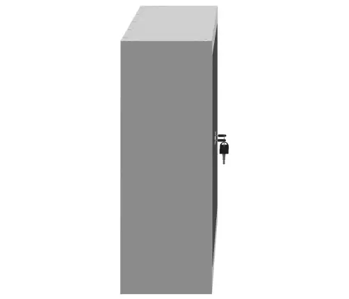 Rīku Skapis Ar Plauktu Melns Un Pelēks 50 X 20 X 55 Cm Vidaxl