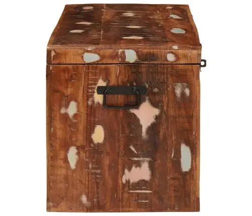 Salvestuskarp Ladustamisega Uksega Lukuga Pruun Tugev Mango Puu