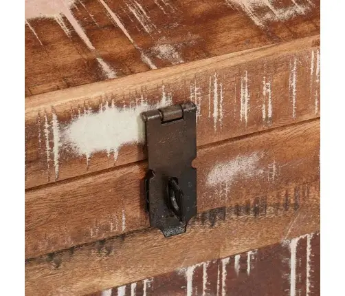 Uzglabāšanas Kaste Daudzkrāsains Pārstrādāts Masīvkoks Vidaxl