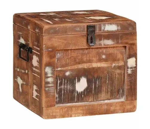 Uzglabāšanas Kaste Daudzkrāsains Pārstrādāts Masīvkoks Vidaxl