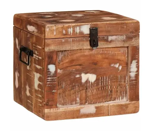 Uzglabāšanas Kaste Daudzkrāsains Pārstrādāts Masīvkoks Vidaxl