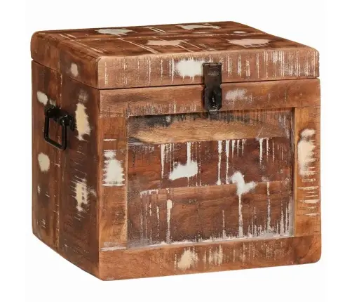 Uzglabāšanas Kaste Daudzkrāsains Pārstrādāts Masīvkoks Vidaxl