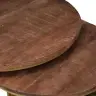 Ligzdojošie Kafijas Galdi 3 Pcs Cieta Mango Koks Un Tērauds Vidaxl