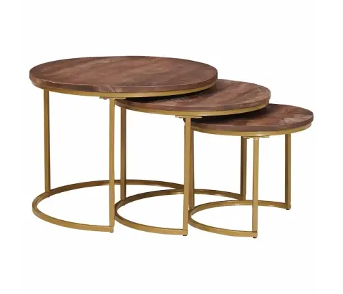 Pesitsevad Kohvilaud 3 Pcs Töödeldud Mangopuit Ja Teras