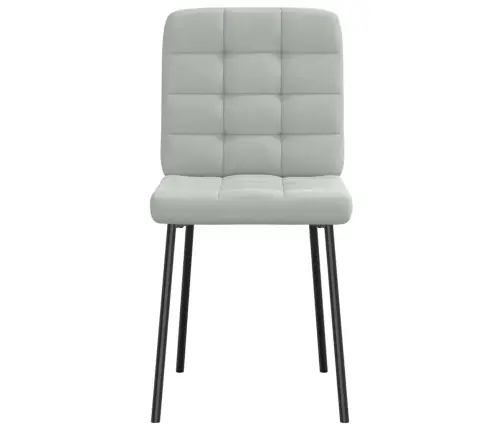 Valgomojo Kėdės, 2Vnt., Šviesiai Pilkos Spalvos, Aksomas