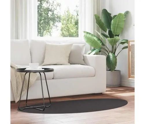 Paklāji Antracīta 80 X 150 Cm Poliesters Vidaxl Paklāji Antracīta 80 X 150 Cm Poliesters Vidaxl