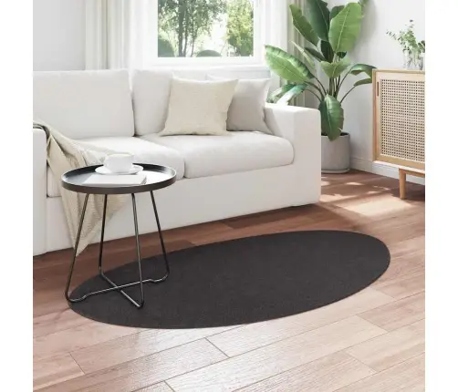 Paklāji Antracīta 80 X 150 Cm Poliesters Vidaxl Paklāji Antracīta 80 X 150 Cm Poliesters Vidaxl