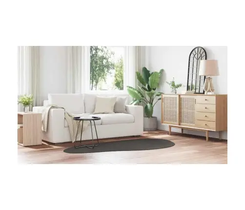 Paklājs Antracīta 100 X 200 Cm Poliesters Vidaxl