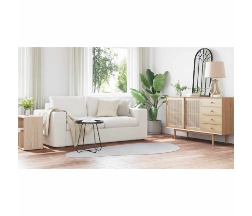 Paklājs Pelēka 100 X 200 Cm Poliesters Vidaxl