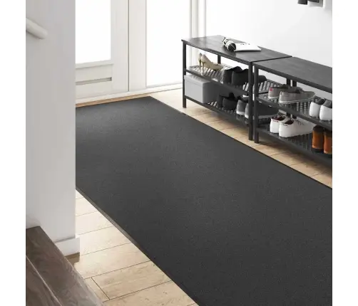 Durvju Paklājs, Ko Var Mazgāt, Antracīta Krāsā, 120X250 Cm Vidaxl