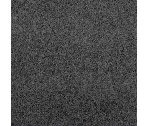 Durvju Paklājs, Ko Var Mazgāt, Antracīta Krāsā, 120X250 Cm Vidaxl