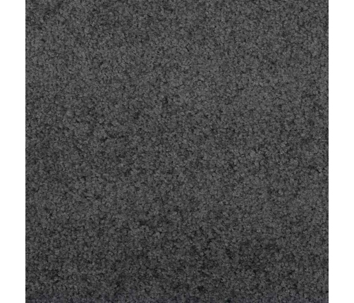 Durvju Paklājs, Ko Var Mazgāt, Antracīts, 120X300 Cm Vidaxl