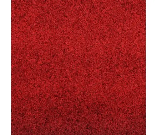 Mazgājamais Durvju Paklājs Sarkans 120X400 Cm Vidaxl