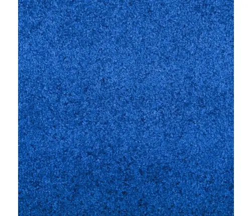 Mazgājamais Durvju Paklājs Zils 120X250 Cm Vidaxl