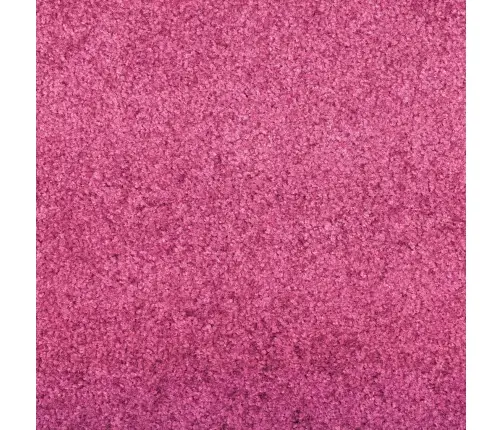 Mazgājamais Durvju Paklājs Rozā 120X300 Cm Vidaxl