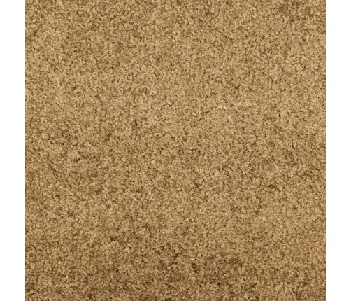 Durvju Paklājs Mazgājamais Krēmkrāsas 120X250 Cm Vidaxl