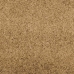 Durvju Paklājs Mazgājamais Krēmkrāsas 120X250 Cm Vidaxl