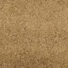 Mazgājamais Durvju Paklājs Krēmkrāsā 120X300 Cm Vidaxl