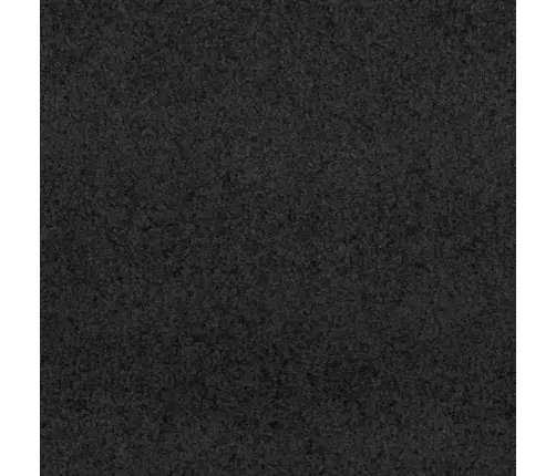 Durų Kilimėlis Juoda 120 X 300 Cm Polipropilenas Ir Vinilas