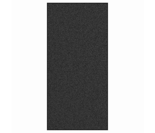 Antracīta Krāsas Durvju Paklājs Taisnstūra Formā 120X250 Cm Vidaxl