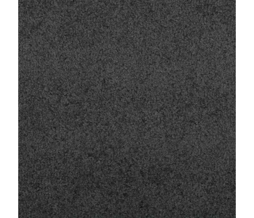 Antracīta Krāsas Durvju Paklājs Taisnstūra Formā 120X250 Cm Vidaxl