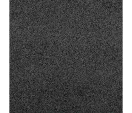 Durvju Paklājs Taisnstūris Antracīts 120X400 Cm Vidaxl