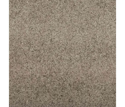 Durvju Paklājs Taisnstūris Bēšs 120X300 Cm Vidaxl