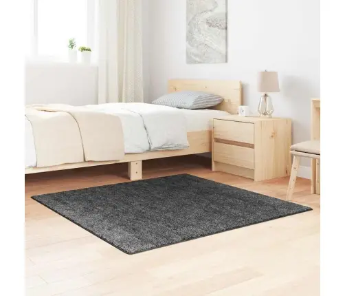 Šagija Paklājs Ar Lateksa Pamatni Tumši Pelēks 120X120 Cm Vidaxl