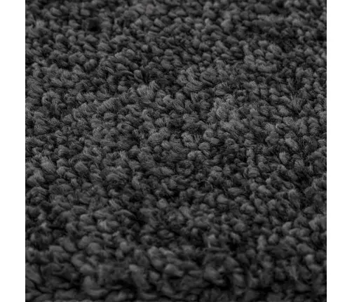 Libisemisvastane Shaggy Vaip Tumehall 240 X 340 Cm Pp