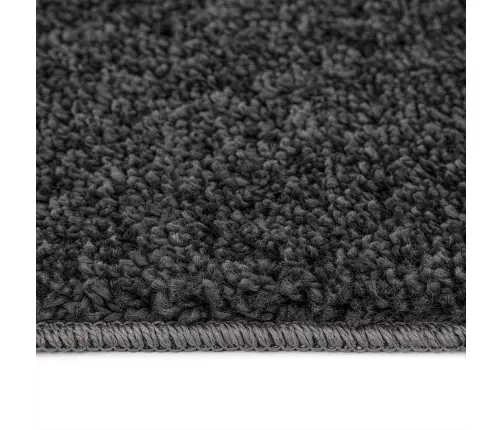 Libisemisvastane Shaggy Vaip Tumehall 240 X 340 Cm Pp