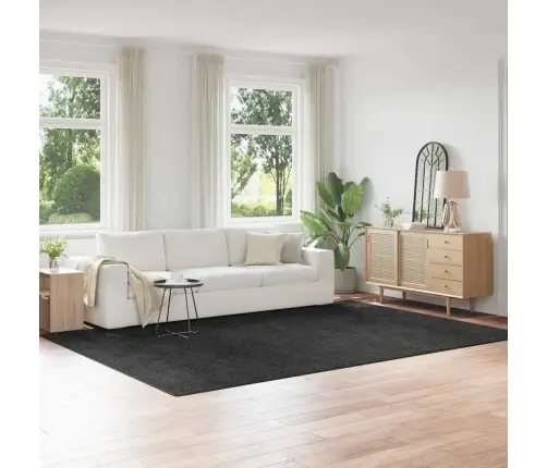 Libisemisvastane Shaggy Vaip Tumehall 240 X 340 Cm Pp