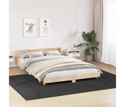 Libisemisvastane Shaggy Vaip Tumehall 240 X 340 Cm Pp