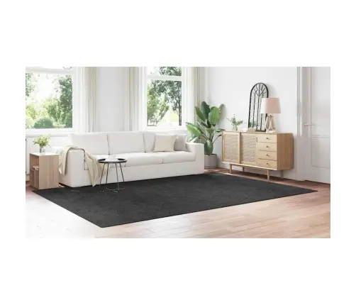 Libisemisvastane Shaggy Vaip Tumehall 240 X 340 Cm Pp