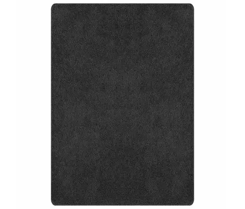 Libisemisvastane Shaggy Vaip Tumehall 240 X 340 Cm Pp