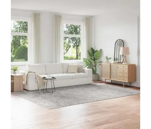 Neslystantis Plaukuotas Kilimas Pilka 240 X 340 Cm Pp