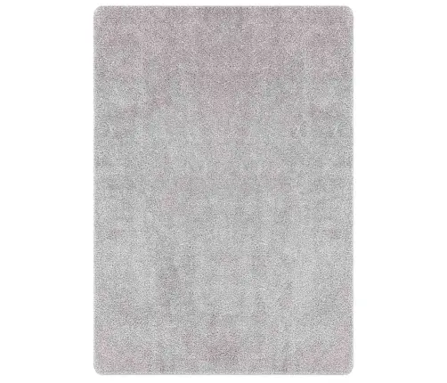 Neslystantis Plaukuotas Kilimas Pilka 240 X 340 Cm Pp