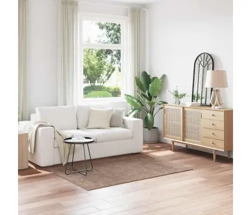 Šaigais Paklājs Ar Lateksa Pamatni Brūnā Krāsā 120X170 Cm Vidaxl