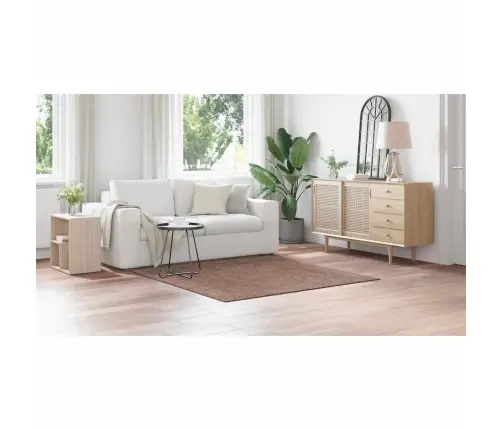 Libisemisvastane Shaggy Vaip Pruun 160 X 160 Cm Pp