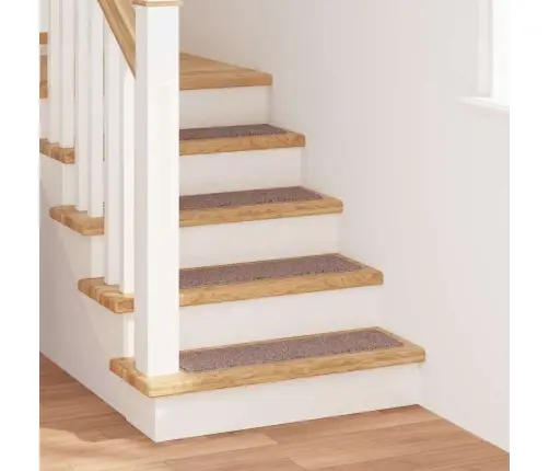 Libisemisvastased Trepimatid 15 Pcs Helepruun 75 X 20 Cm Pp